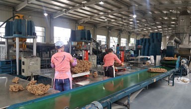 雲南西雙版納猛侖(Lùn)寶蓮華4萬噸複合膠工廠